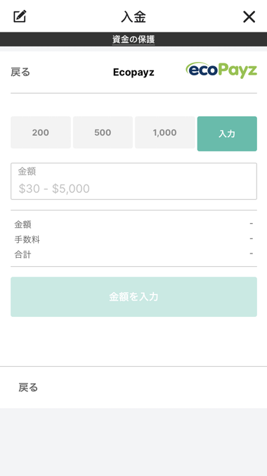 ecoPayzの入金手続きの画面