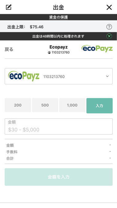 ecoPayzの出金手続きの画面
